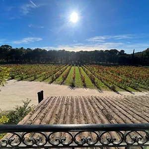 Unique Dans Le Domaine De La Sangliere Appartement